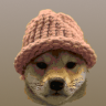 Logo dogwifhat